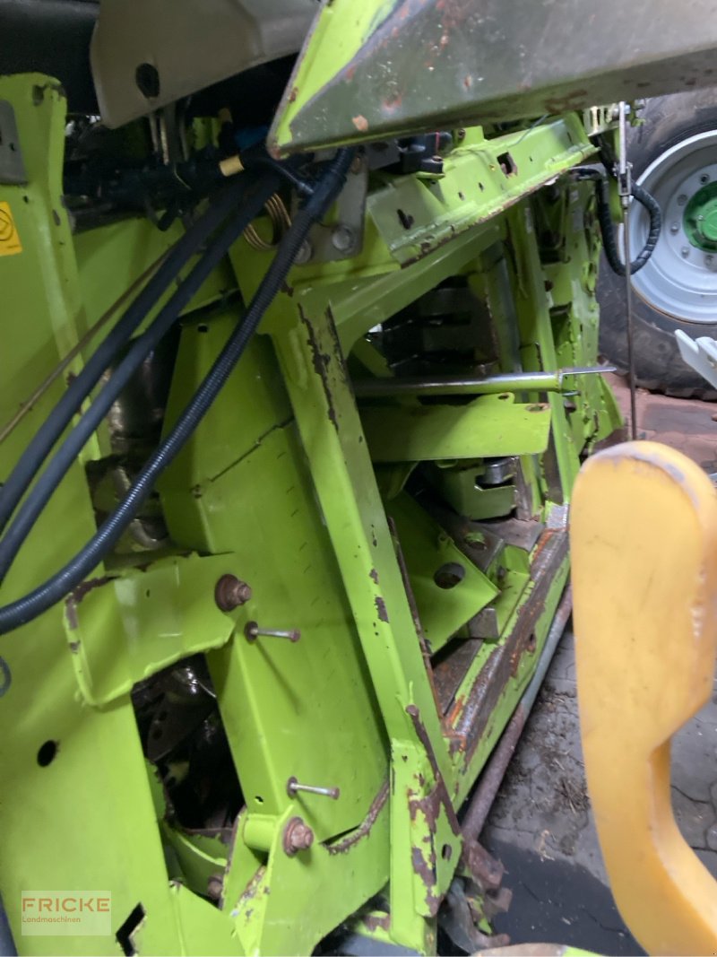 Maisgebiss a típus CLAAS Orbis 750, Gebrauchtmaschine ekkor: Bockel - Gyhum (Kép 11)