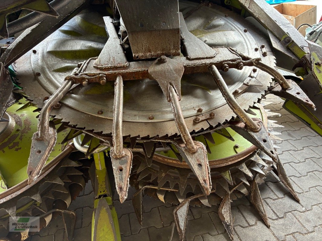 Maisgebiss typu CLAAS Orbis 750, Gebrauchtmaschine v Rhede / Brual (Obrázek 4)