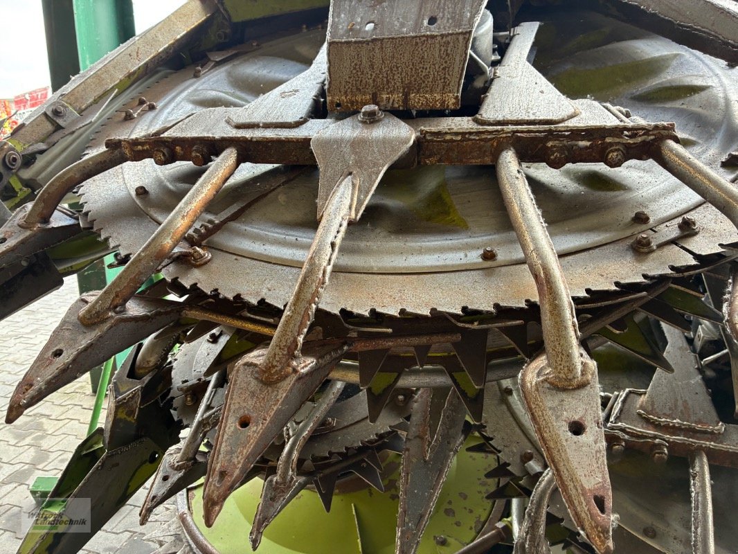 Maisgebiss typu CLAAS Orbis 750, Gebrauchtmaschine v Rhede / Brual (Obrázek 3)