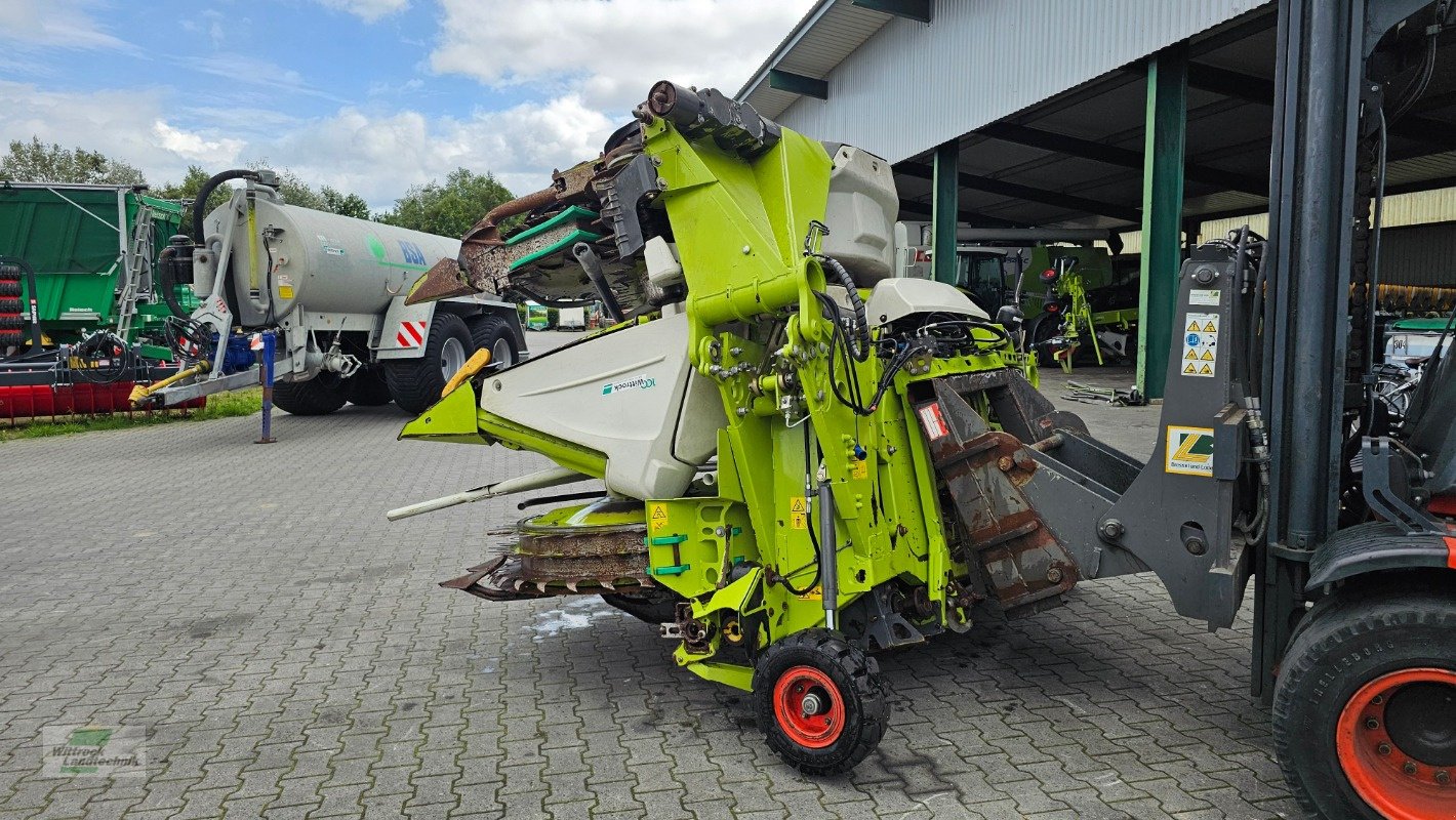 Maisgebiss typu CLAAS Orbis 750, Gebrauchtmaschine v Rhede / Brual (Obrázek 10)