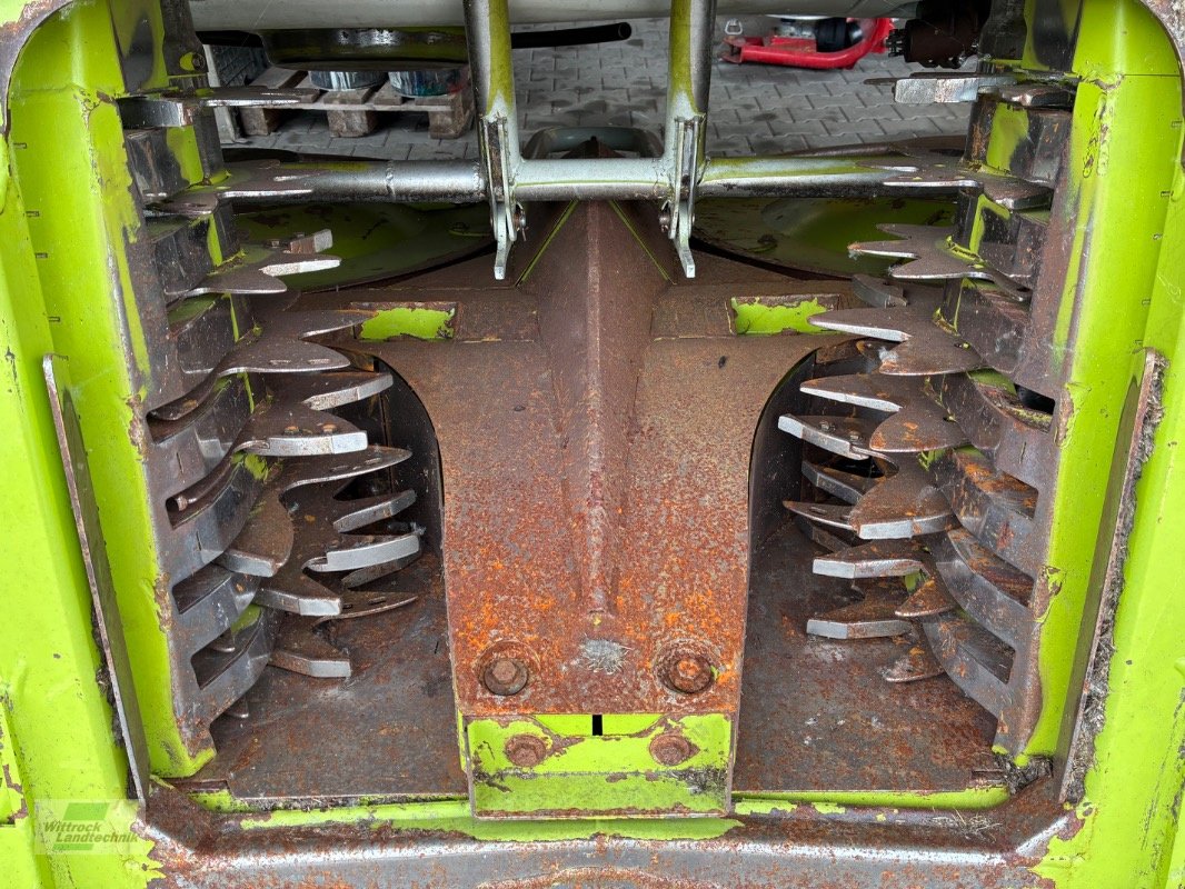 Maisgebiss typu CLAAS Orbis 750, Gebrauchtmaschine v Rhede / Brual (Obrázek 5)