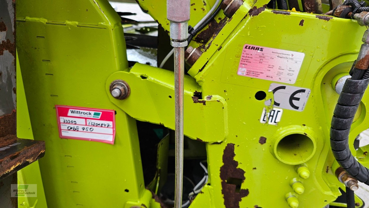 Maisgebiss typu CLAAS Orbis 750, Gebrauchtmaschine v Rhede / Brual (Obrázek 12)