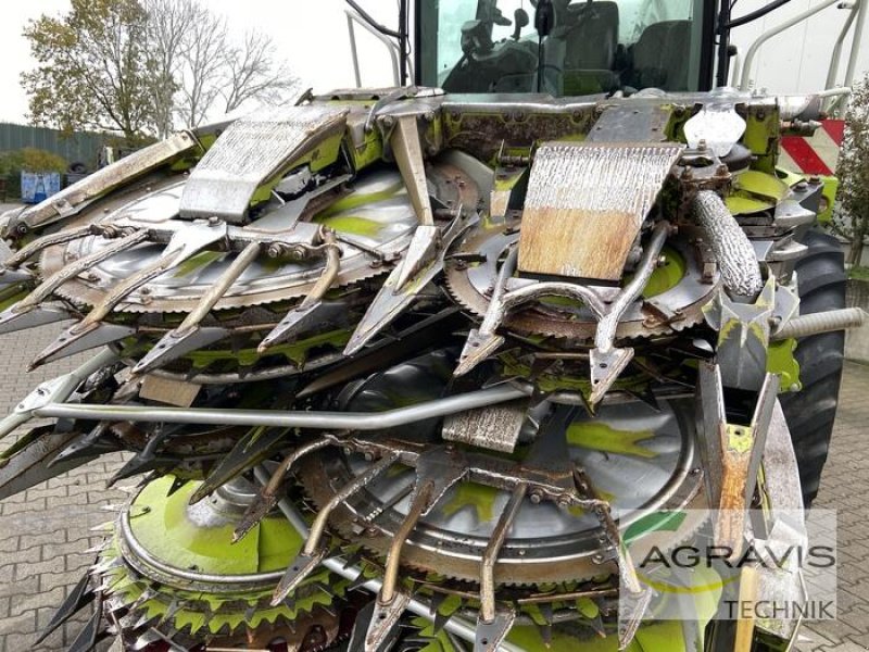 Maisgebiß des Typs CLAAS ORBIS 750, Gebrauchtmaschine in Alpen (Bild 14)