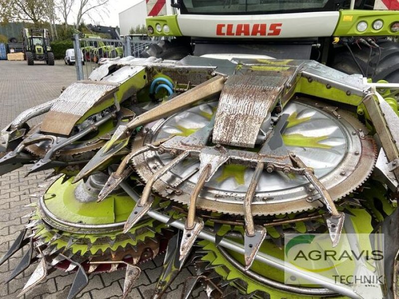 Maisgebiß des Typs CLAAS ORBIS 750, Gebrauchtmaschine in Alpen (Bild 13)