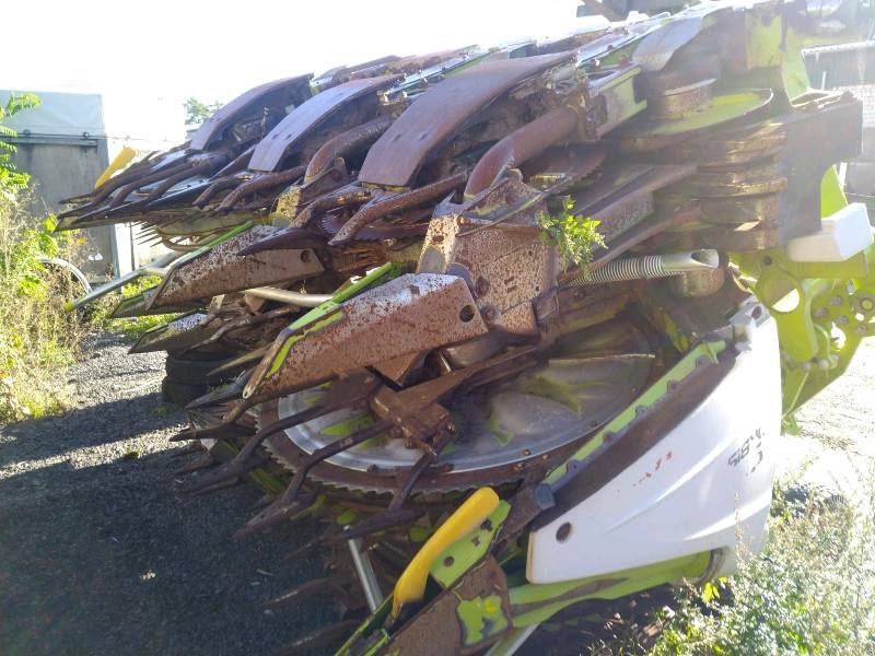 Maisgebiß des Typs CLAAS Orbis 900 3T Maisgebiss, Gebrauchtmaschine in Liebenwalde