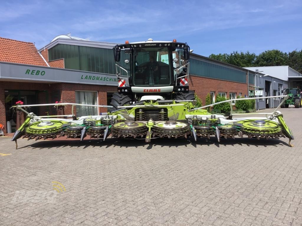 Maisgebiß des Typs CLAAS ORBIS 900 AC, Gebrauchtmaschine in Neuenkirchen-Vörden (Bild 1)