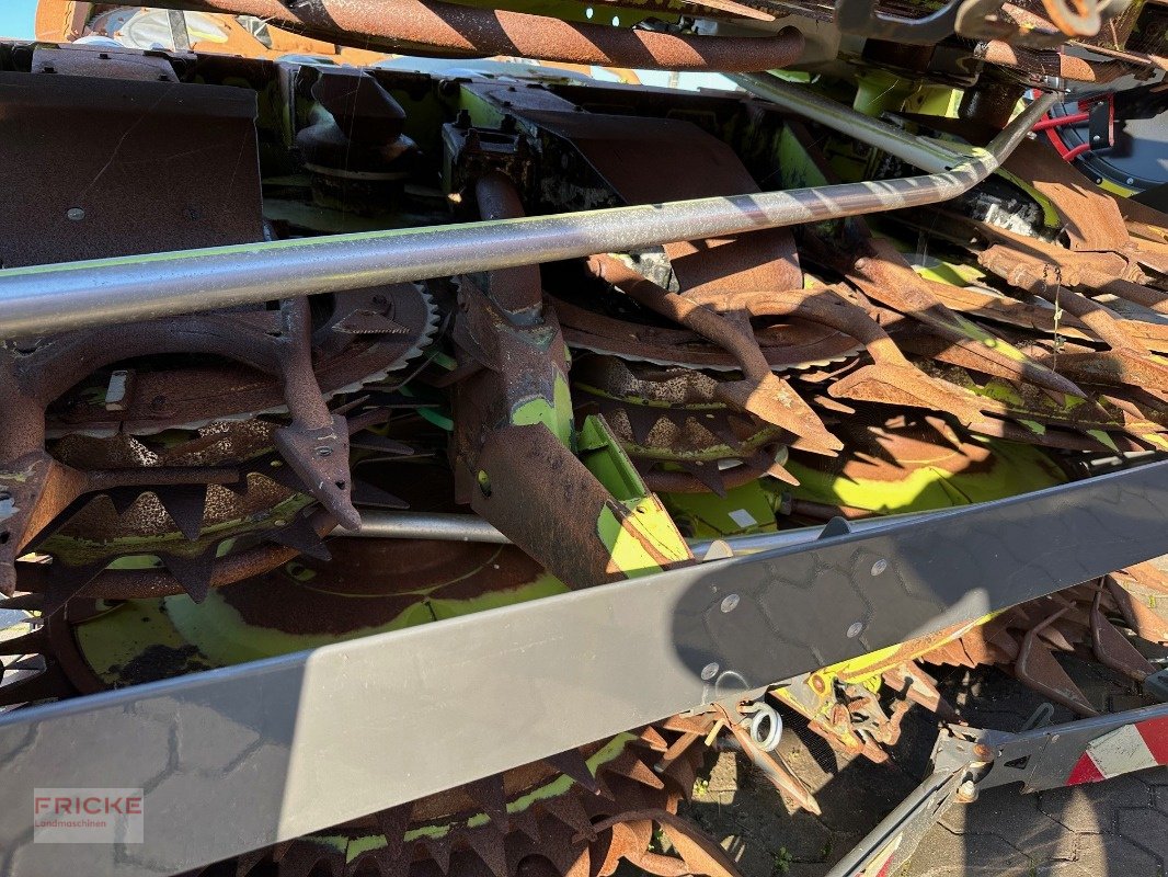 Maisgebiss του τύπου CLAAS Orbis 900 AC, Gebrauchtmaschine σε Bockel - Gyhum (Φωτογραφία 4)