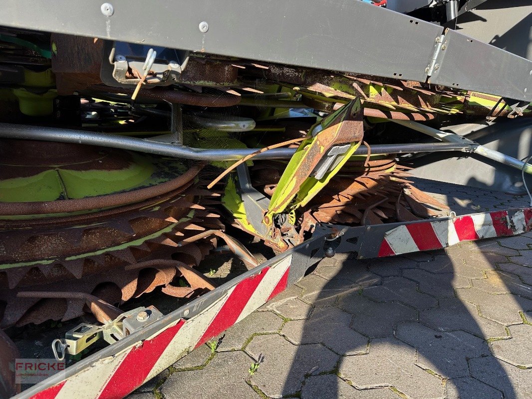 Maisgebiss του τύπου CLAAS Orbis 900 AC, Gebrauchtmaschine σε Bockel - Gyhum (Φωτογραφία 5)