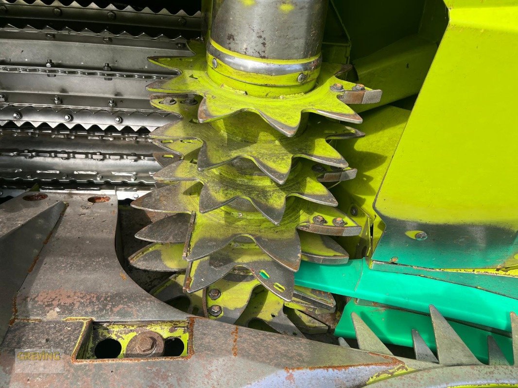 Maisgebiss типа CLAAS Orbis 900 Typ992, Gebrauchtmaschine в Ahaus (Фотография 15)