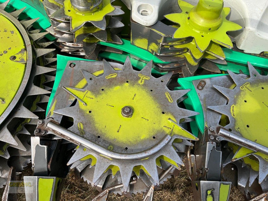 Maisgebiss типа CLAAS Orbis 900 Typ992, Gebrauchtmaschine в Ahaus (Фотография 18)