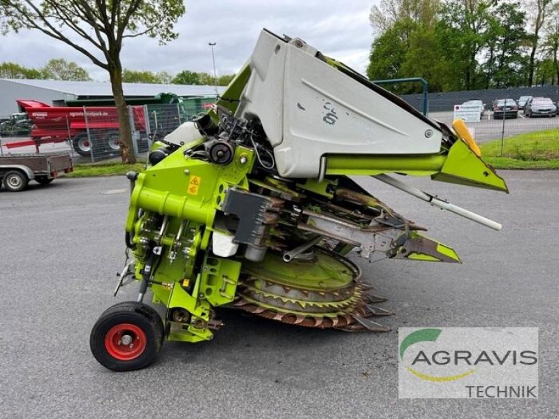 Maisgebiss typu CLAAS ORBIS 900, Gebrauchtmaschine v Meppen (Obrázek 5)