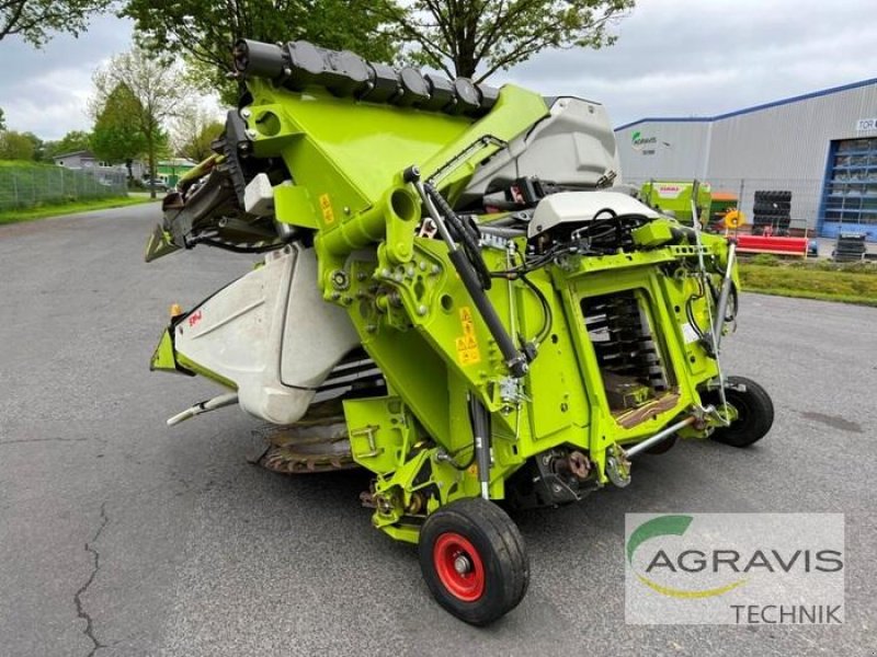 Maisgebiss typu CLAAS ORBIS 900, Gebrauchtmaschine v Meppen (Obrázek 3)