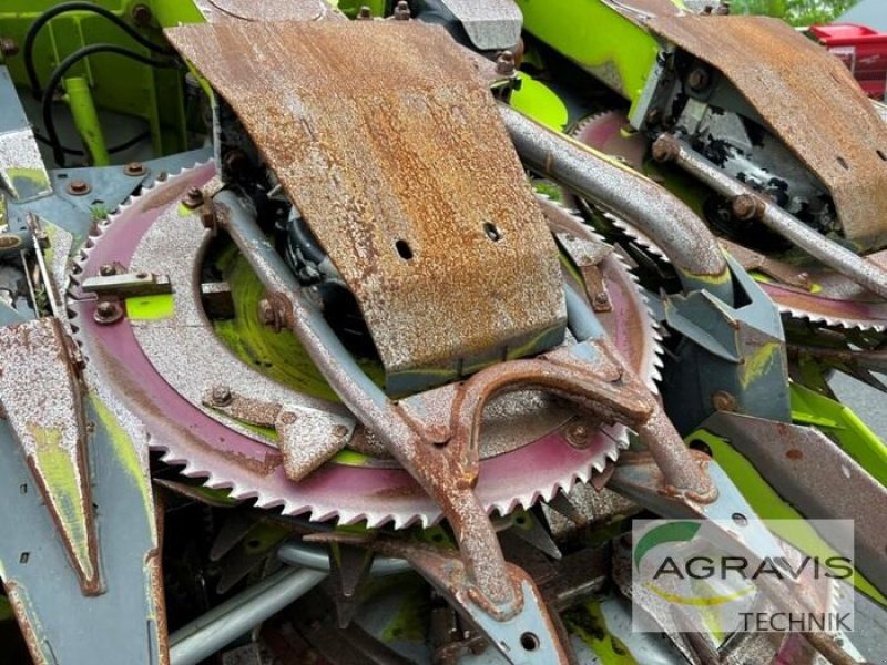 Maisgebiss typu CLAAS ORBIS 900, Gebrauchtmaschine v Meppen (Obrázek 10)