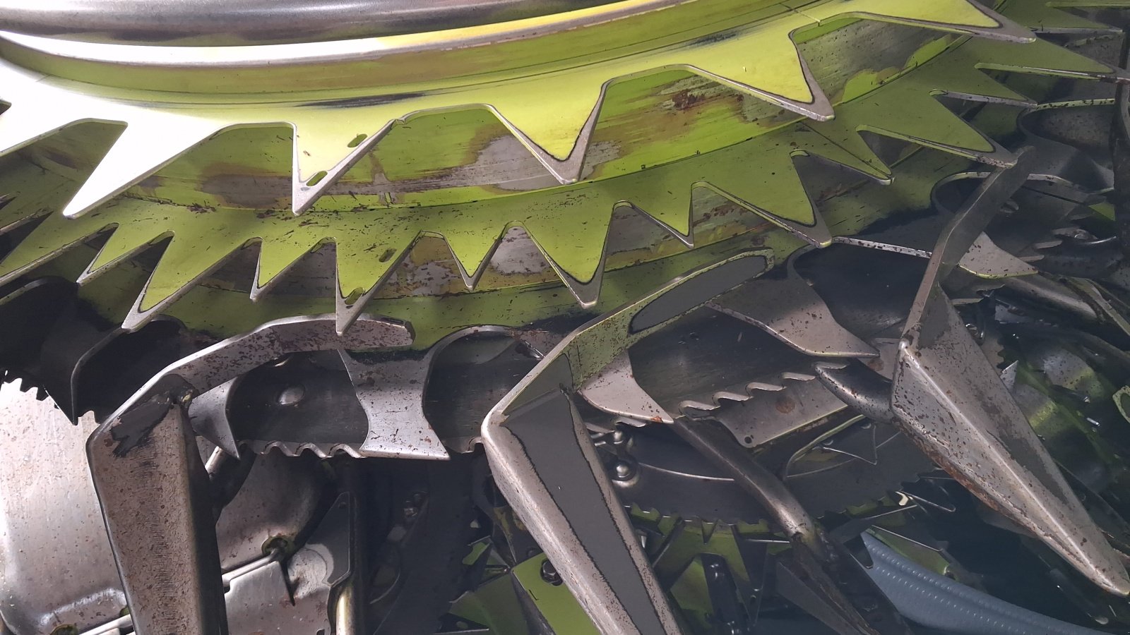 Maisgebiss от тип CLAAS Orbis 900, Gebrauchtmaschine в Hollenbach (Снимка 4)