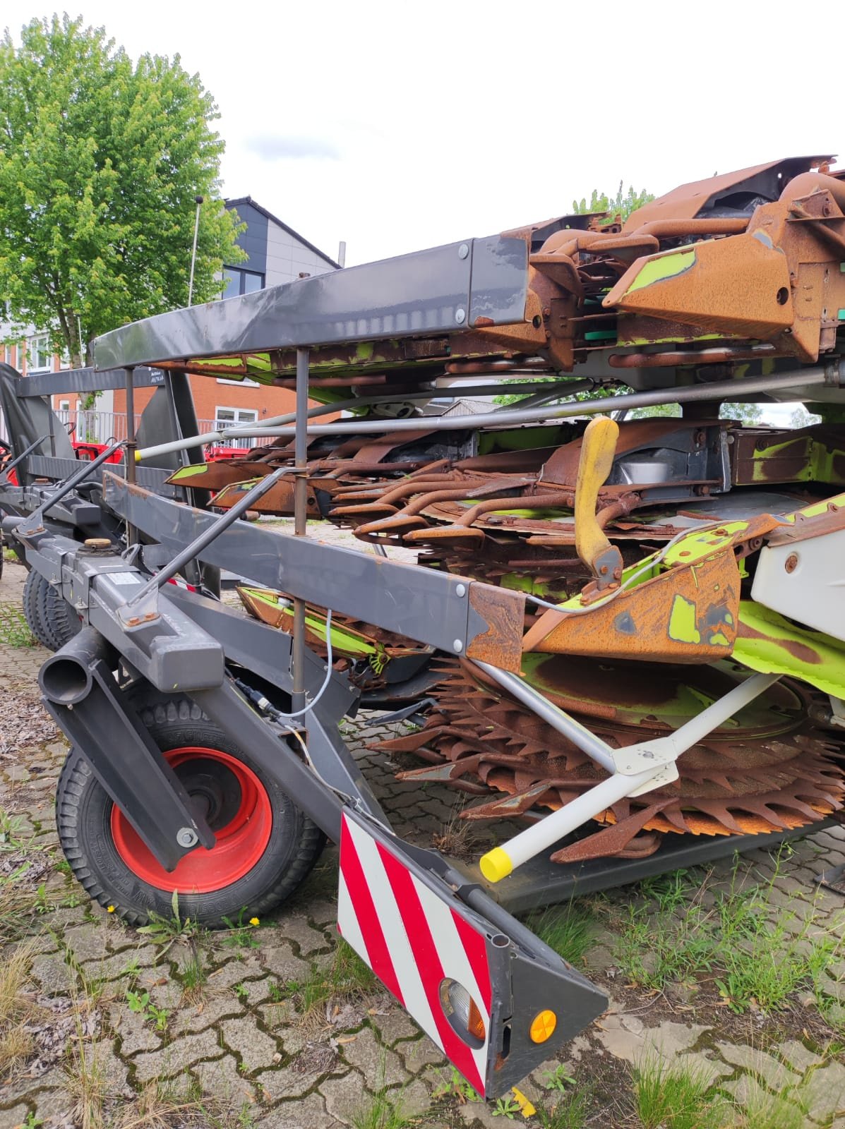 Maisgebiß des Typs CLAAS Orbis 900, Gebrauchtmaschine in Westertimke (Bild 3)