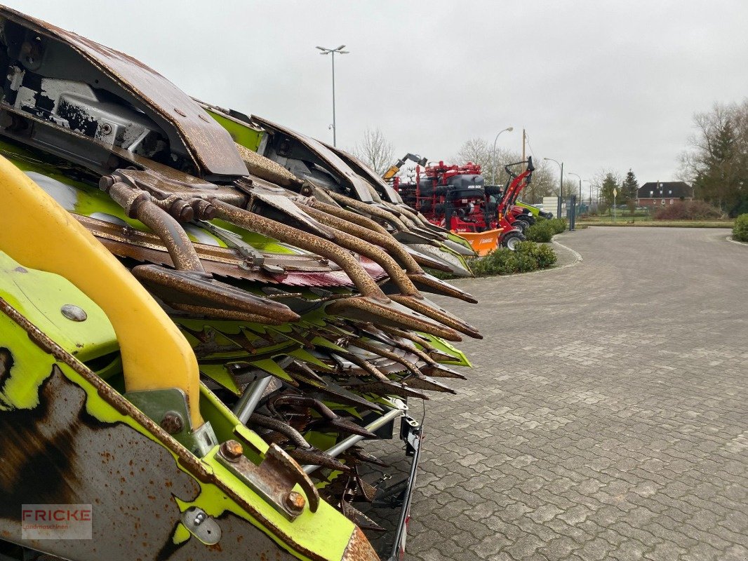 Maisgebiss του τύπου CLAAS Orbis 900, Gebrauchtmaschine σε Demmin (Φωτογραφία 6)