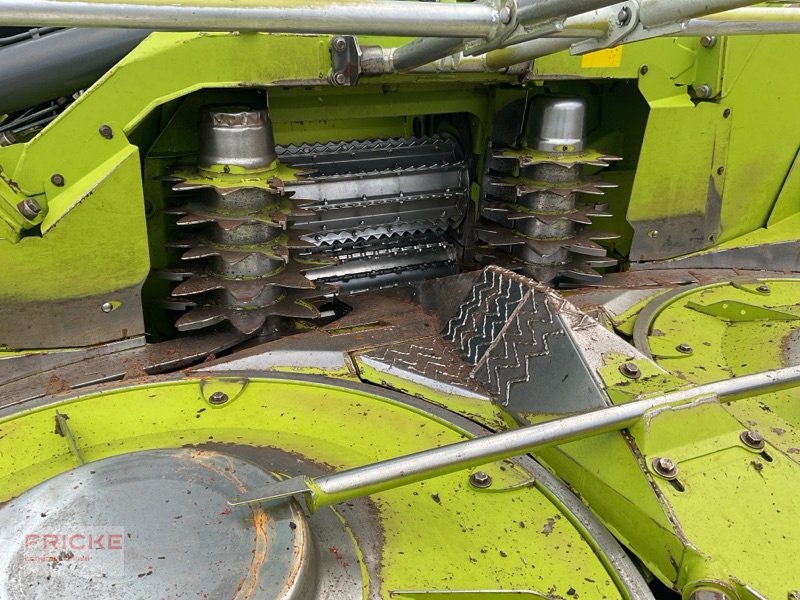 Maisgebiß des Typs CLAAS Orbis 900, Gebrauchtmaschine in Bockel - Gyhum (Bild 5)