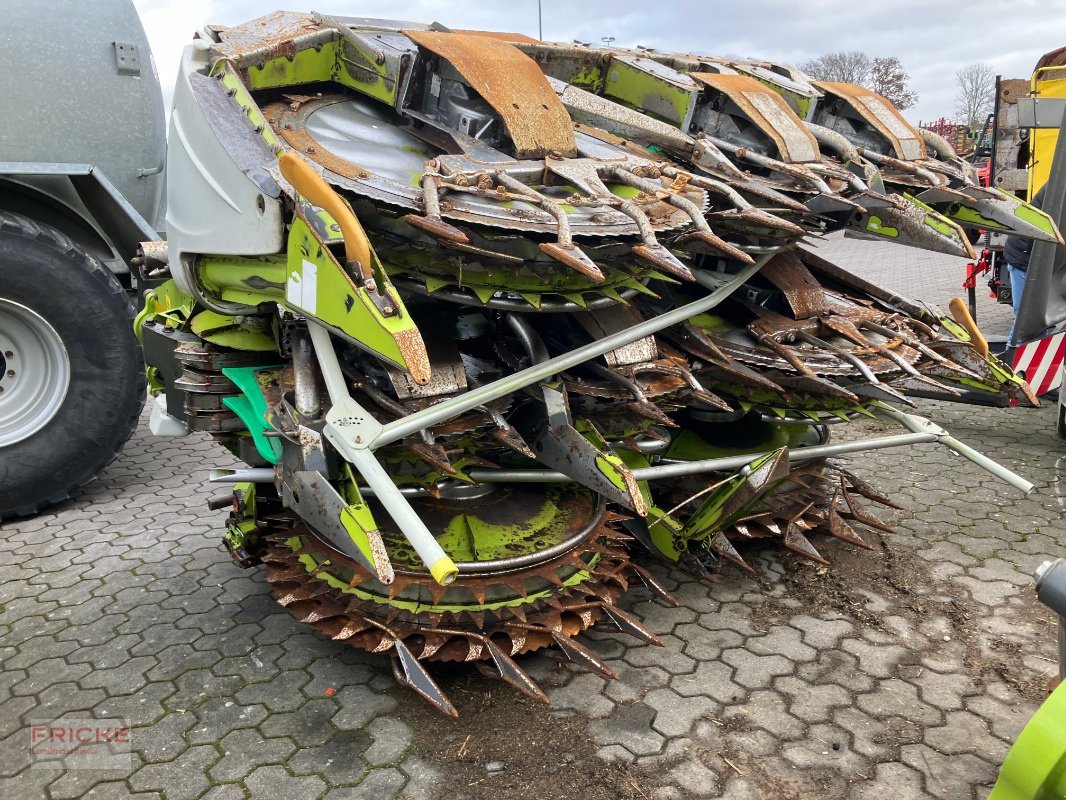 Maisgebiß typu CLAAS Orbis 900, Gebrauchtmaschine w Bockel - Gyhum (Zdjęcie 3)