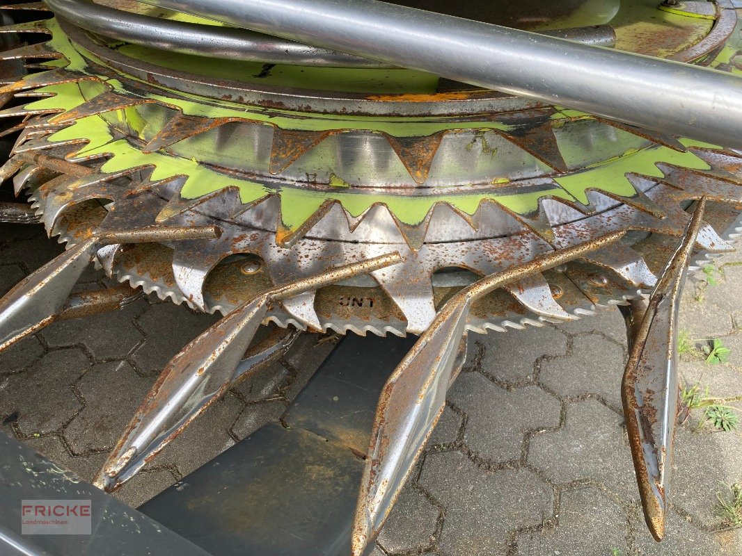 Maisgebiss типа CLAAS Orbis 900, Gebrauchtmaschine в Bockel - Gyhum (Фотография 6)