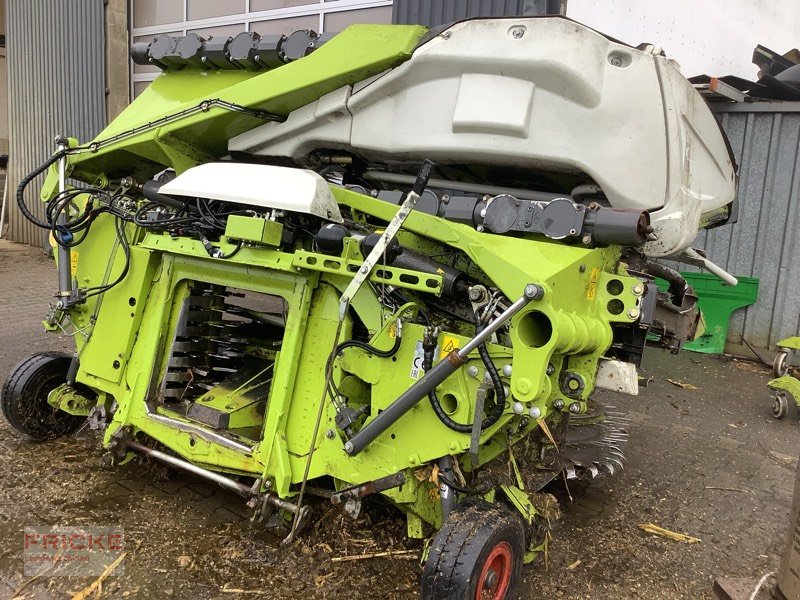 Maisgebiss типа CLAAS Orbis 900, Gebrauchtmaschine в Bockel - Gyhum (Фотография 3)