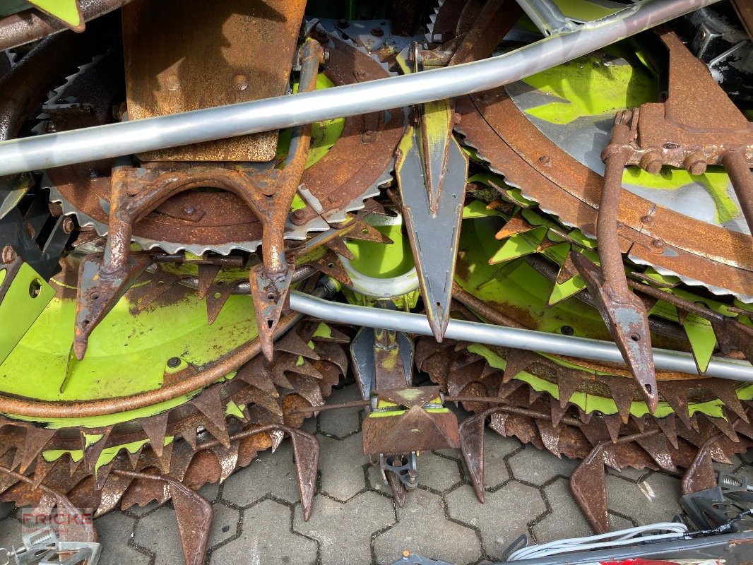 Maisgebiß des Typs CLAAS Orbis 900, Gebrauchtmaschine in Bockel - Gyhum (Bild 6)