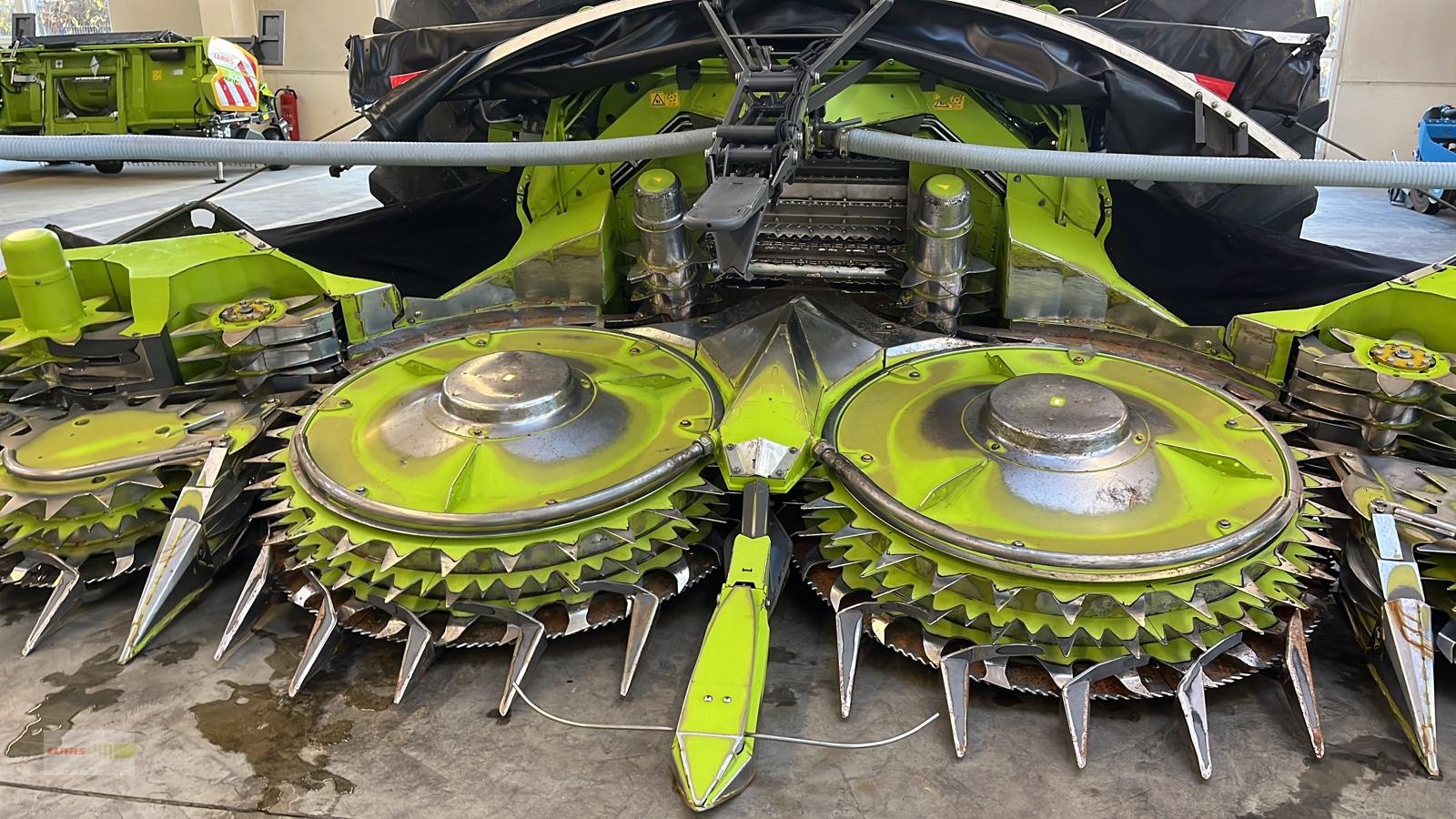 Maisgebiss типа CLAAS Orbis 900, Gebrauchtmaschine в Langenau (Фотография 2)