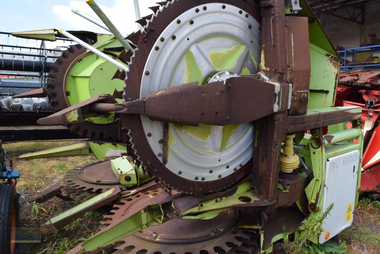 Maisgebiss типа CLAAS RU 600, Gebrauchtmaschine в Oyten (Фотография 1)
