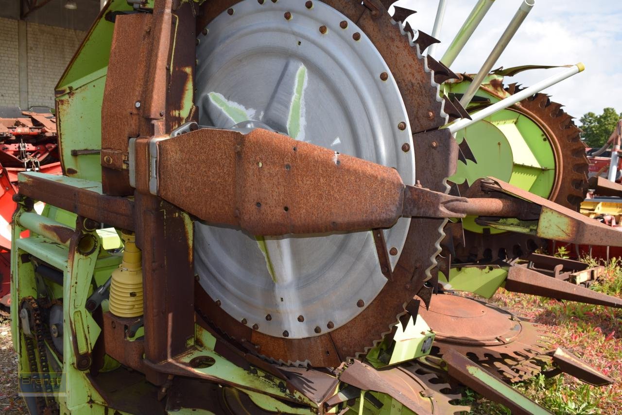 Maisgebiss типа CLAAS RU 600, Gebrauchtmaschine в Oyten (Фотография 2)