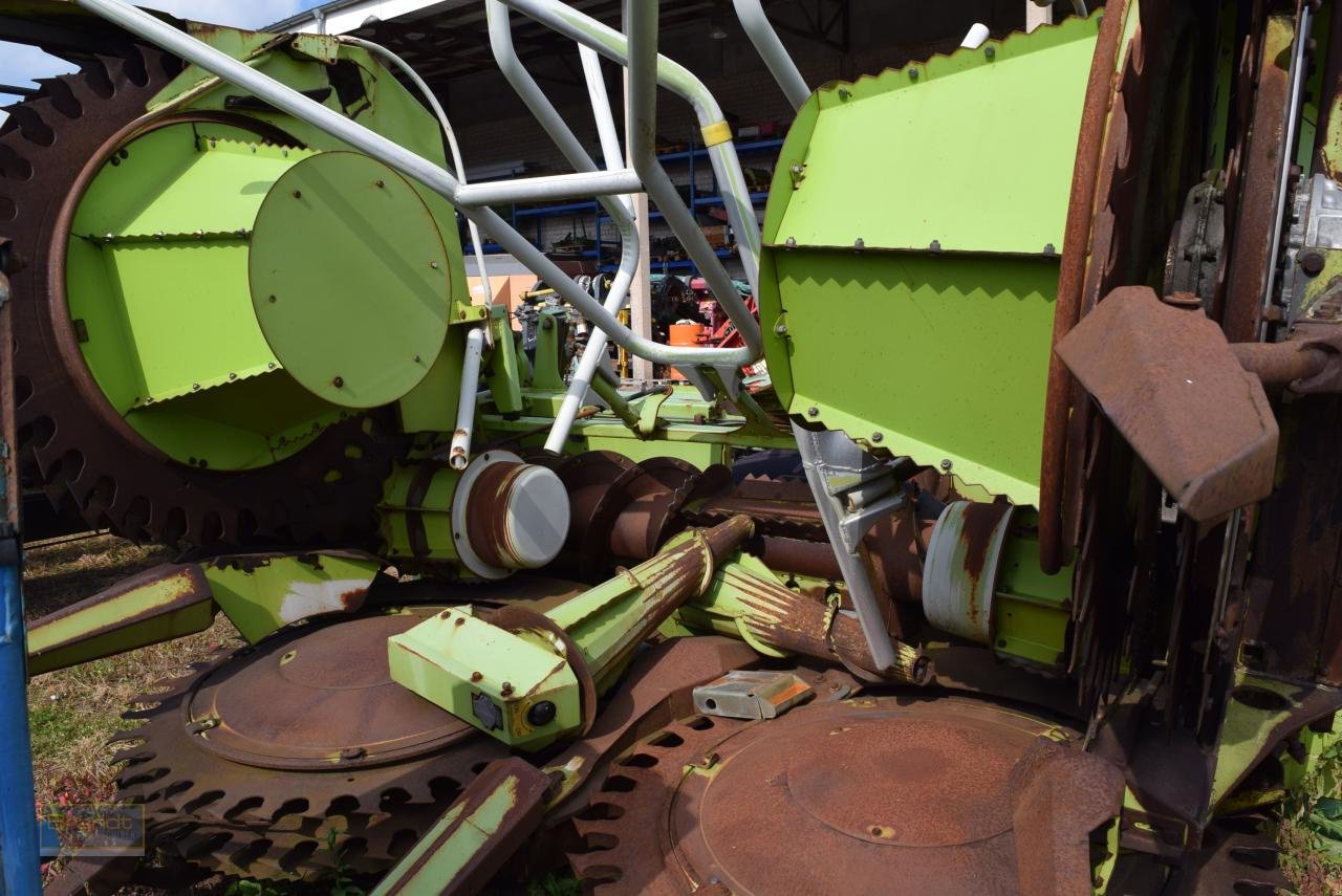 Maisgebiss типа CLAAS RU 600, Gebrauchtmaschine в Oyten (Фотография 4)