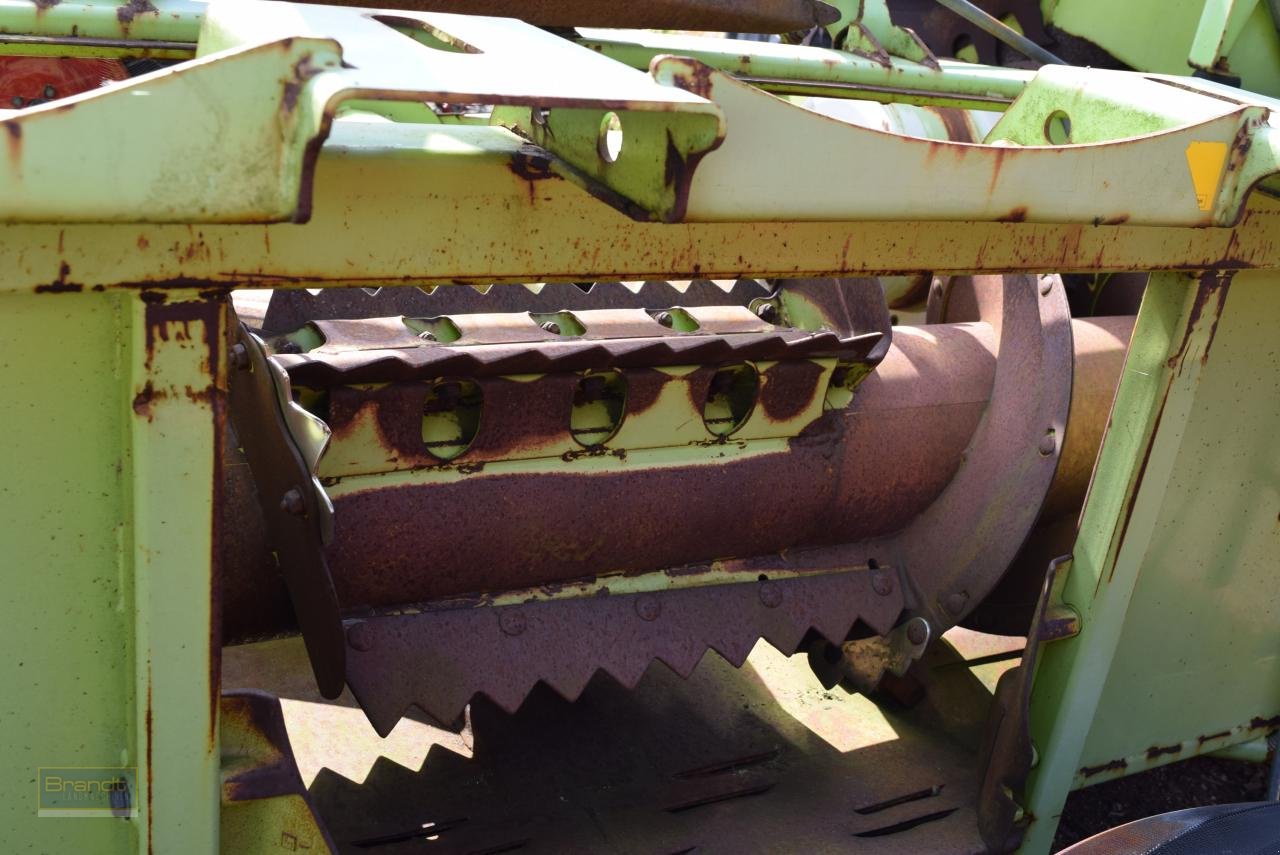 Maisgebiss типа CLAAS RU 600, Gebrauchtmaschine в Oyten (Фотография 6)
