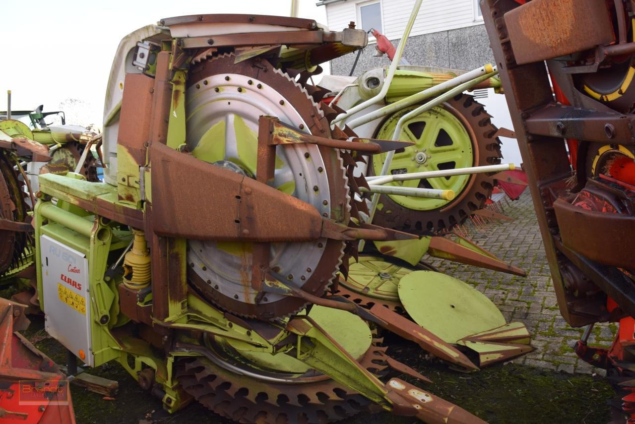 Maisgebiss типа CLAAS RU 600, Gebrauchtmaschine в Oyten (Фотография 3)