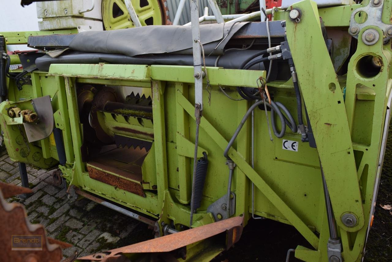 Maisgebiss типа CLAAS RU 600, Gebrauchtmaschine в Oyten (Фотография 4)