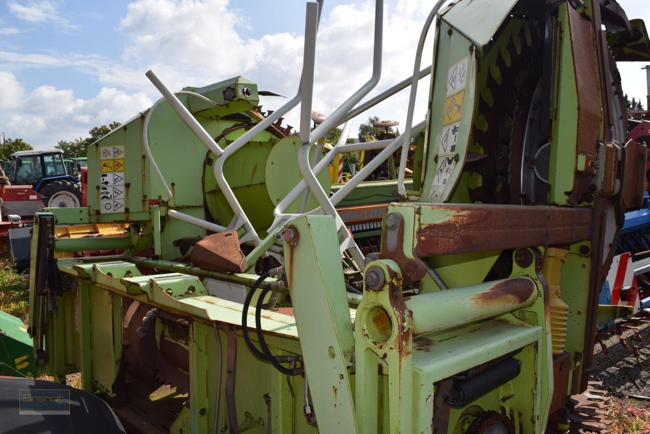 Maisgebiß des Typs CLAAS RU 600, Gebrauchtmaschine in Oyten (Bild 5)