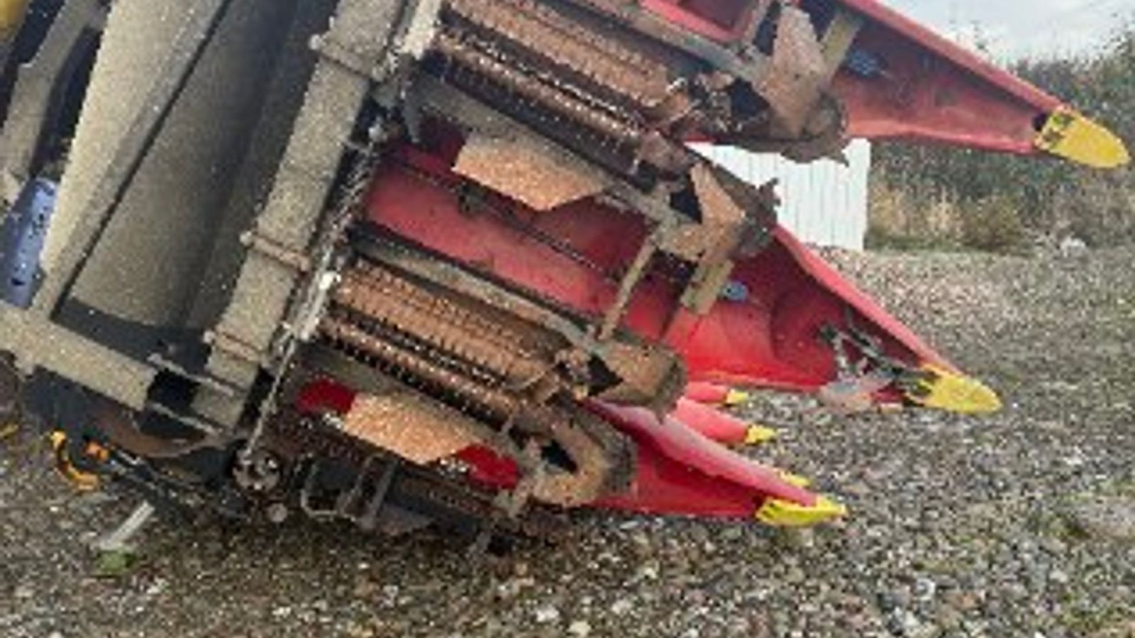 Maisgebiss des Typs Geringhoff 8 rækket 8 Rækket majsskærebord., Gebrauchtmaschine in Faaborg (Bild 5)