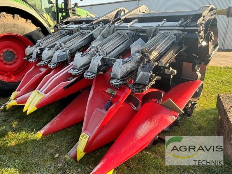 Maisgebiß des Typs Geringhoff RD 875 FB, Gebrauchtmaschine in Seelow (Bild 1)