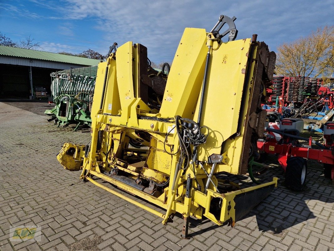 Maisgebiss Türe ait Kemper 390 Plus, Gebrauchtmaschine içinde Schenkenberg (resim 1)