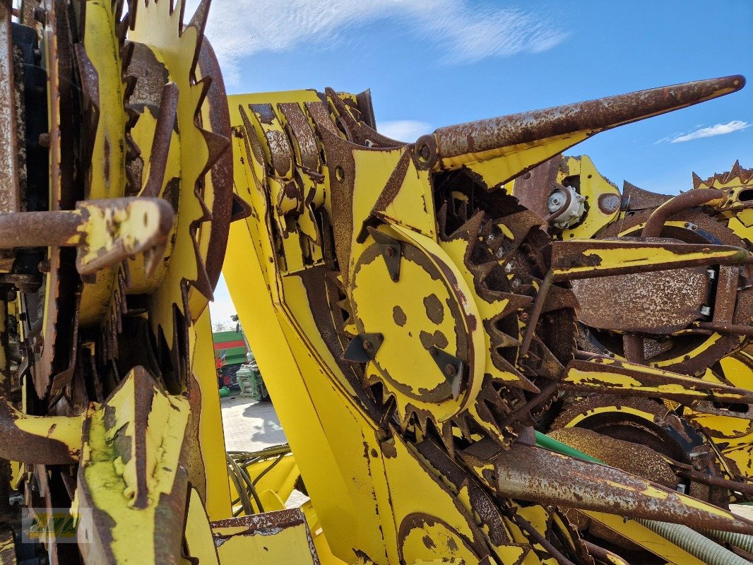 Maisgebiss Türe ait Kemper 390 Plus, Gebrauchtmaschine içinde Schenkenberg (resim 12)