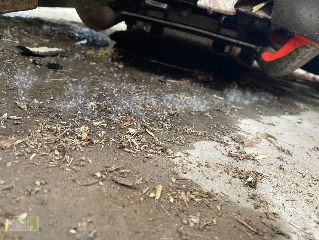 Maisgebiss tip Kemper Champion 375 plus, Gebrauchtmaschine in Bordesholm (Poză 5)