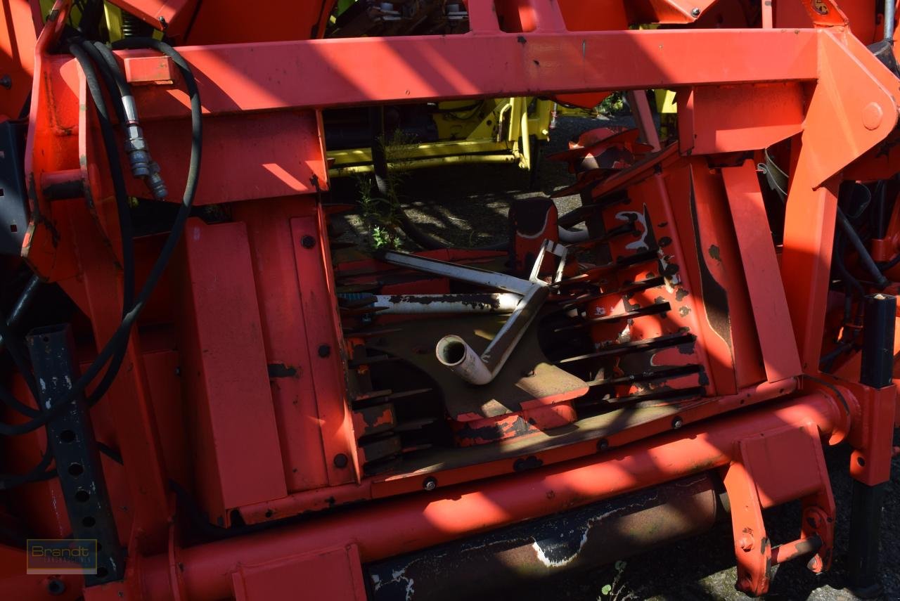 Maisgebiss от тип Kemper Champion 375, Gebrauchtmaschine в Oyten (Снимка 3)