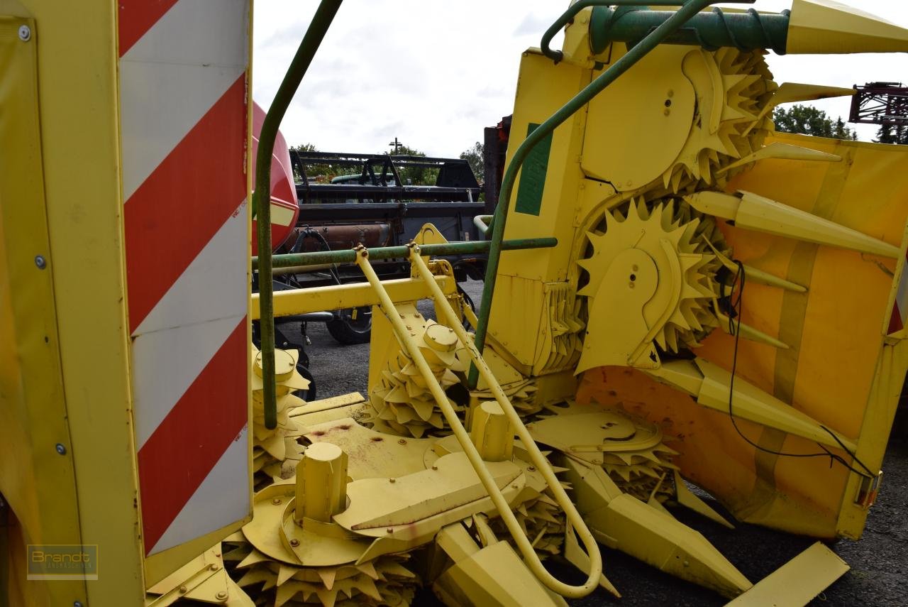 Maisgebiss typu Kemper Champion 6008, Gebrauchtmaschine v Oyten (Obrázek 1)