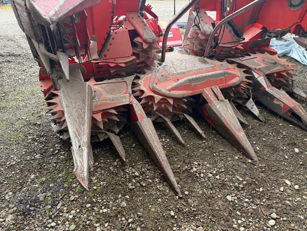 Maisgebiss Türe ait Kemper Kemper 345 bj2002 491, 492, 493, 498 Lagermaisschnecken, Schaltgetriebe, Gebrauchtmaschine içinde Schutterzell (resim 11)