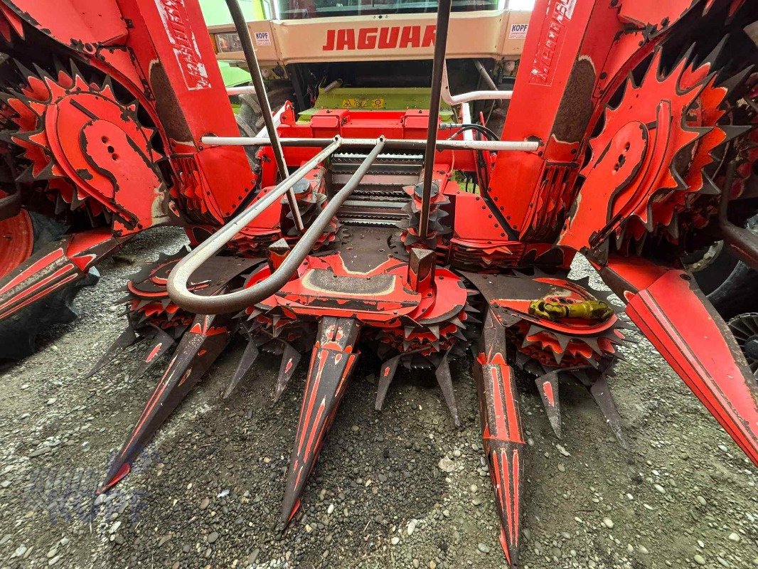 Maisgebiss del tipo Kemper Kemper 360, 8 reihig für 492-498, Gebrauchtmaschine In Schutterzell (Immagine 17)