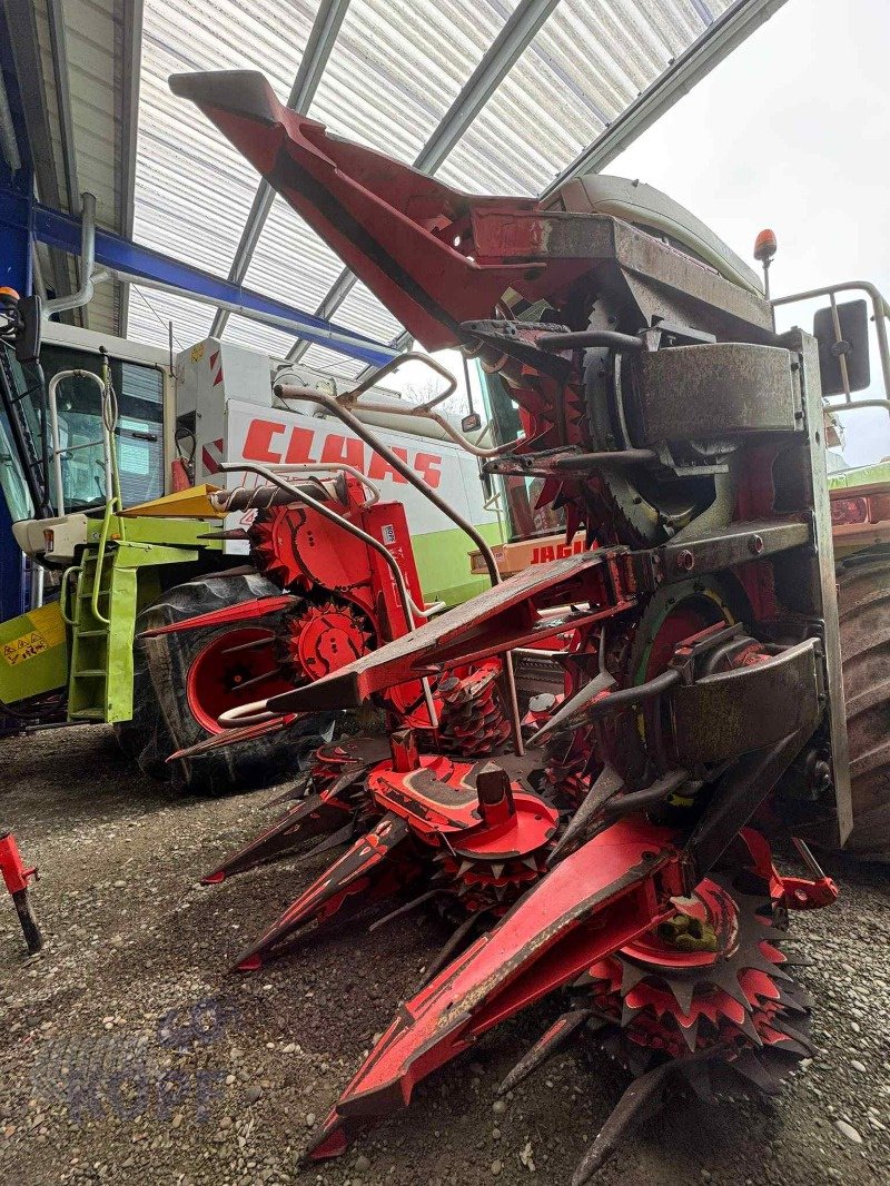 Maisgebiss del tipo Kemper Kemper 360, 8 reihig für 492-498, Gebrauchtmaschine In Schutterzell (Immagine 19)