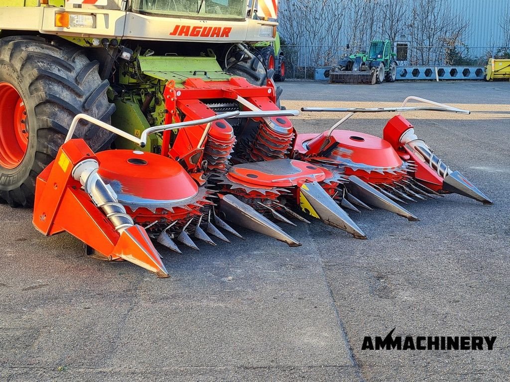 Maisgebiss типа Kemper Rotary corn header, Gebrauchtmaschine в Horst (Фотография 2)