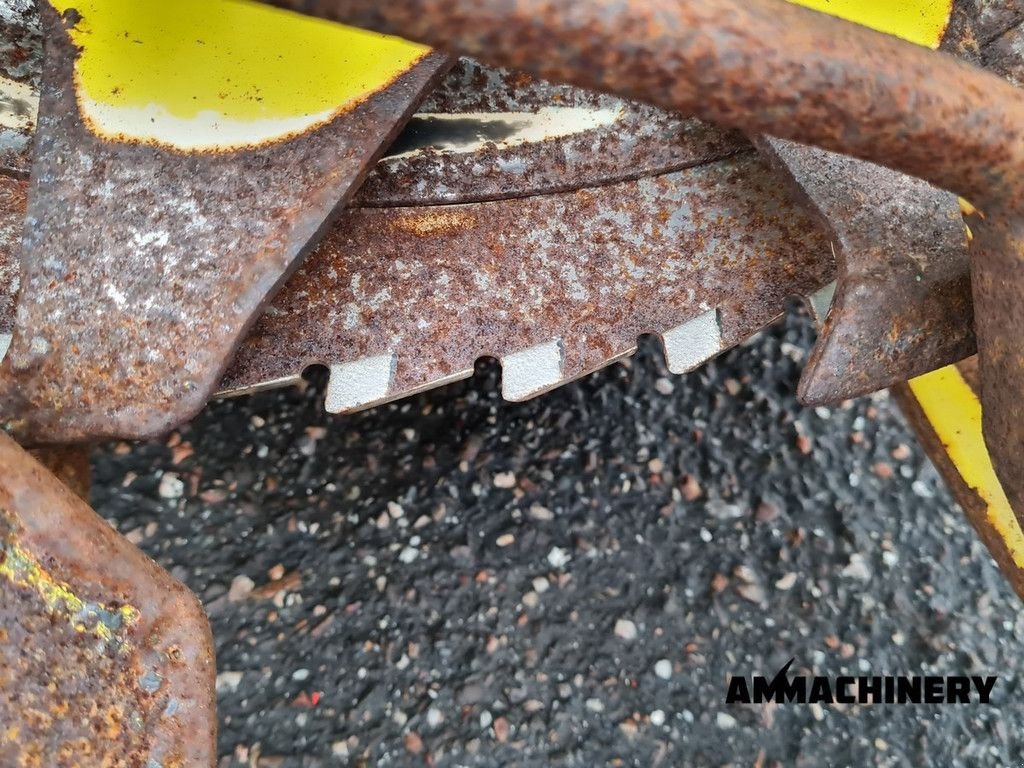 Maisgebiss des Typs Kemper rotary corn header, Gebrauchtmaschine in Horst (Bild 7)
