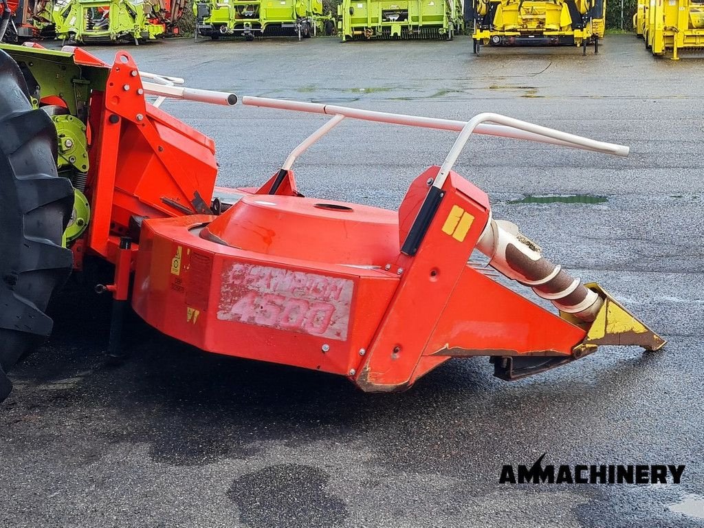 Maisgebiss des Typs Kemper rotary corn header, Gebrauchtmaschine in Horst (Bild 3)