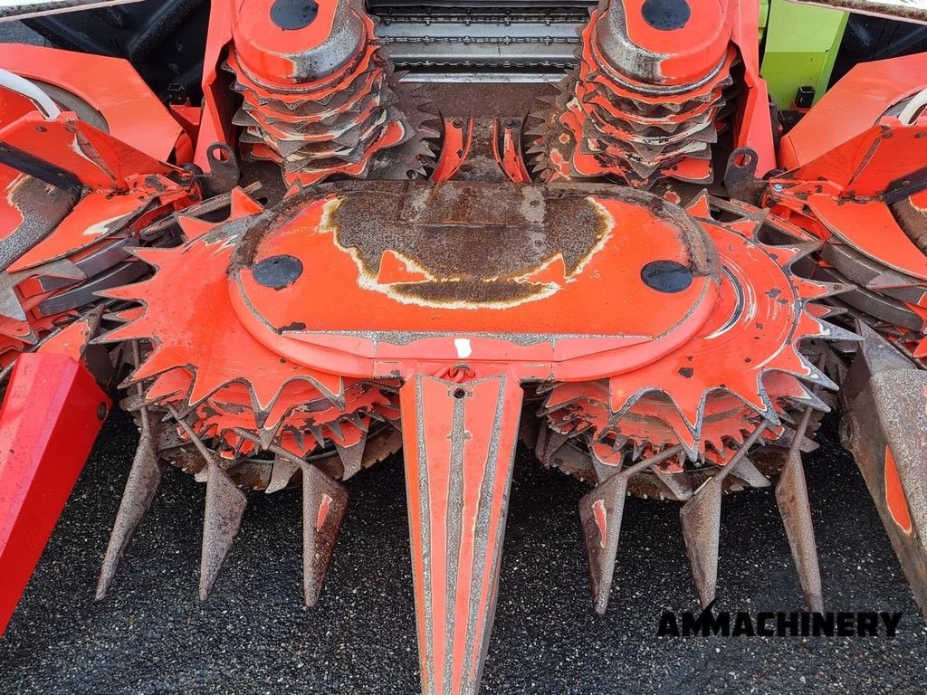 Maisgebiss des Typs Kemper rotary corn header, Gebrauchtmaschine in Horst (Bild 11)