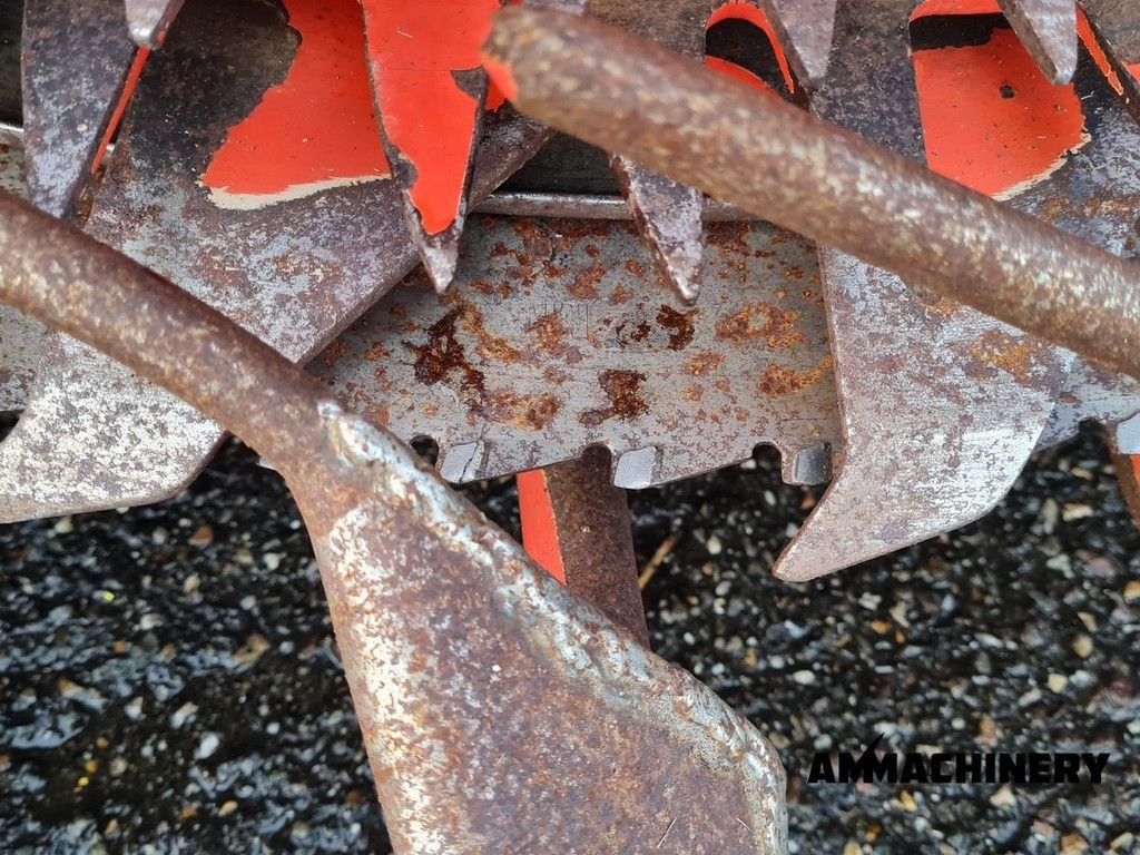 Maisgebiss des Typs Kemper rotary corn header, Gebrauchtmaschine in Horst (Bild 7)