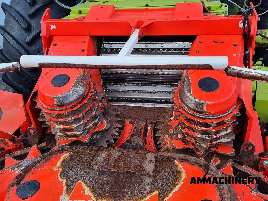 Maisgebiss des Typs Kemper rotary corn header, Gebrauchtmaschine in Horst (Bild 10)