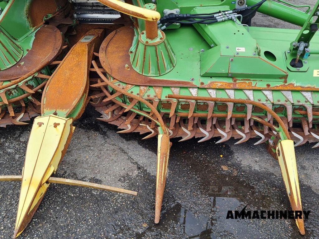 Maisgebiss типа Krone Easy Collect 600-2 corn header, Gebrauchtmaschine в Horst (Фотография 8)
